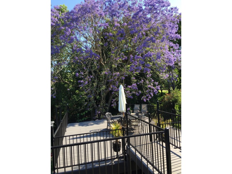 155 Eagle Heights Road, Tamborine Mountain QLD 4272