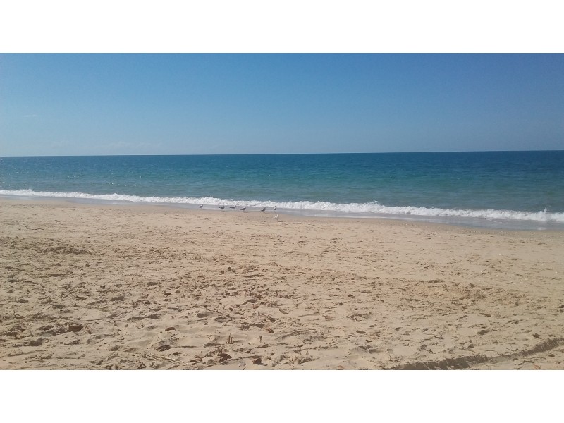 14 Oak Street, Woodgate QLD 4660