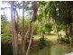 Nimbin NSW 2480