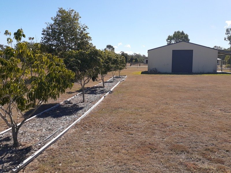 1 Pams Court, Beecher QLD 4680