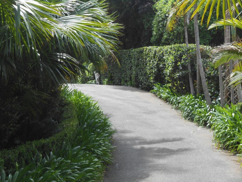 281 Matcham Road, Matcham NSW 2250