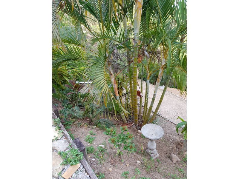 137 Panorama Drive, Rosemount QLD 4560