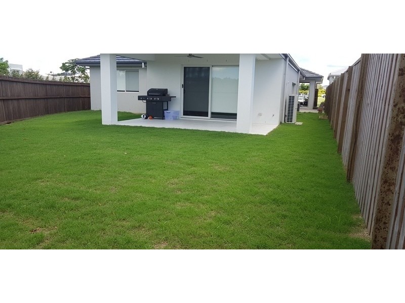49 Lindeman Circuit, Pimpama QLD 4209