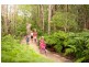 49 Lindeman Circuit, Pimpama QLD 4209