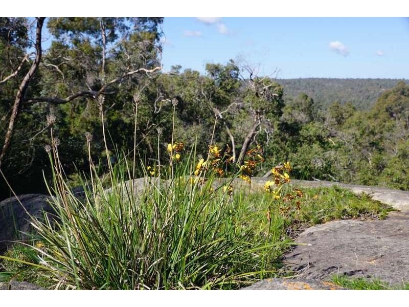 8 Allestree Road, Darlington WA 6070