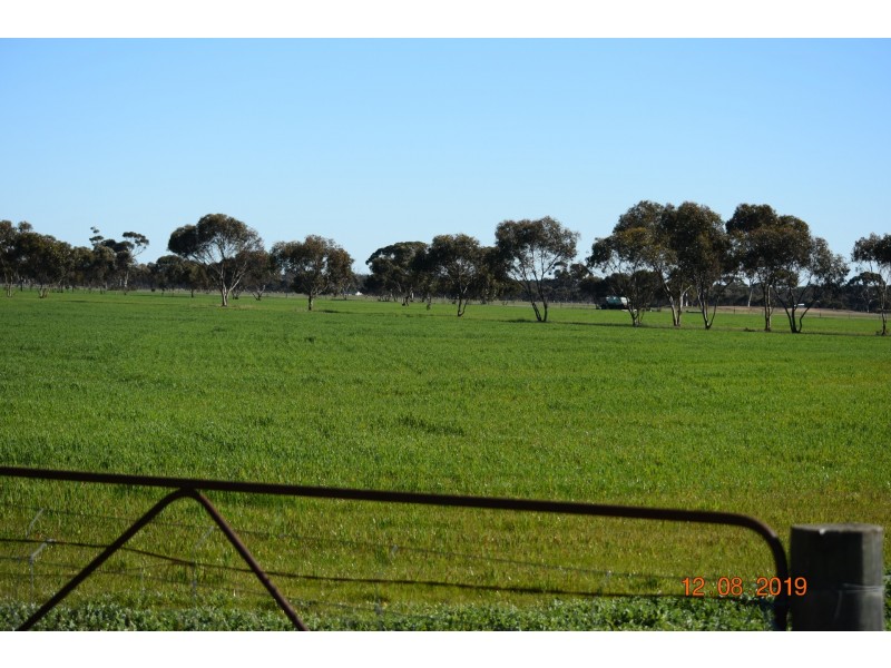 Lot 101 Reeds Road, East Popanyinning WA 6309