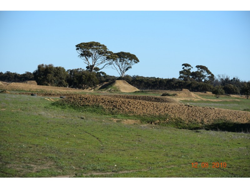 Lot 101 Reeds Road, East Popanyinning WA 6309