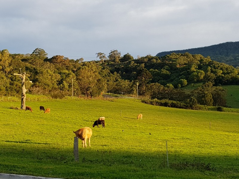 43A Gibson Crescent, Jamberoo NSW 2533