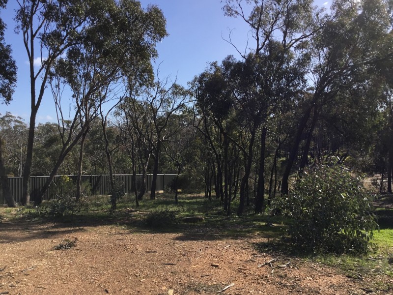 119 Pioneer Drive, Maiden Gully VIC 3551