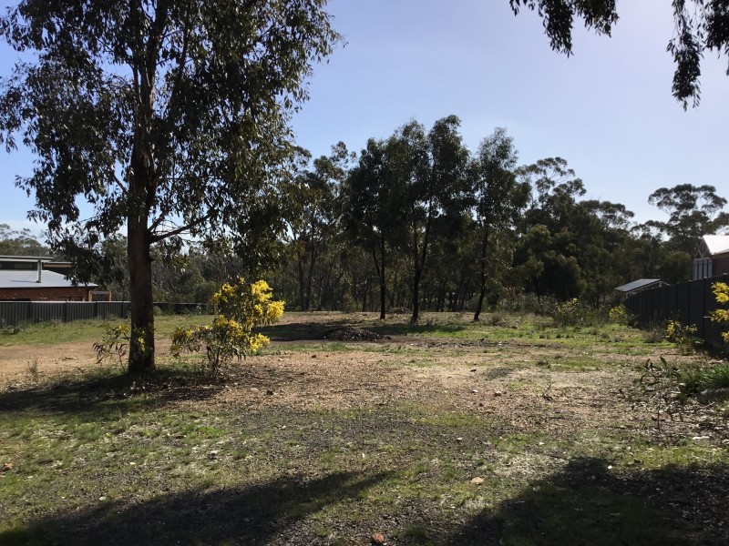 119 Pioneer Drive, Maiden Gully VIC 3551