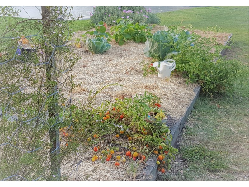 21A Rawle Street, Camira QLD 4300