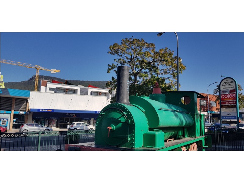 8 Thomas Street, Corrimal NSW 2518