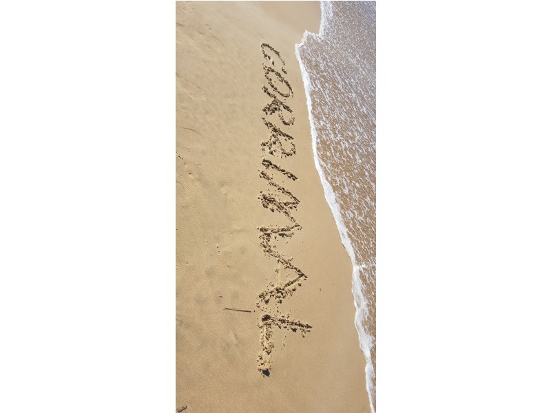 8 Thomas Street, Corrimal NSW 2518