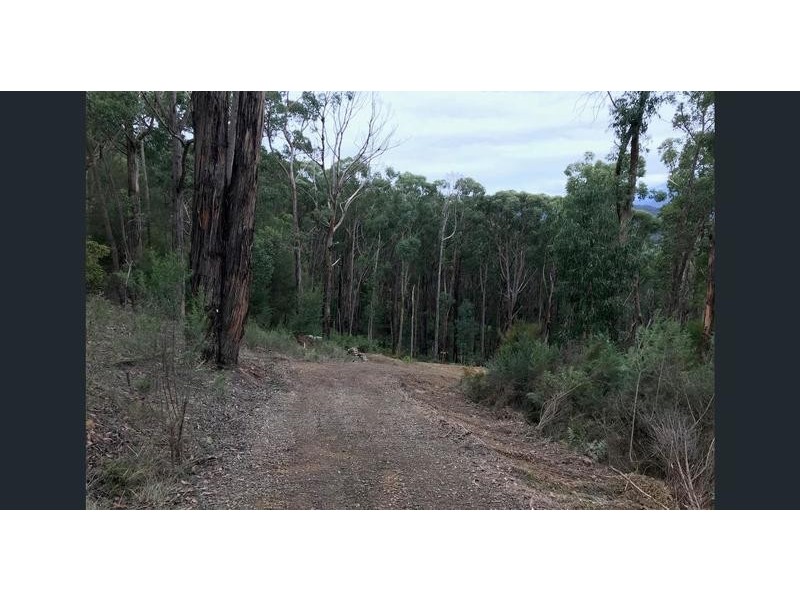 12 Cornelius Crescent, Healesville VIC 3777