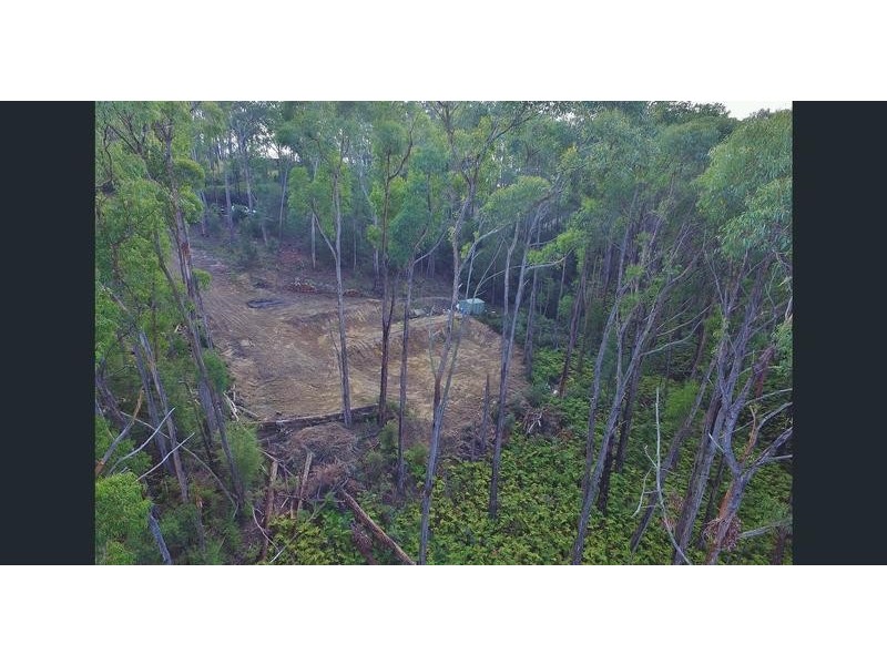 12 Cornelius Crescent, Healesville VIC 3777