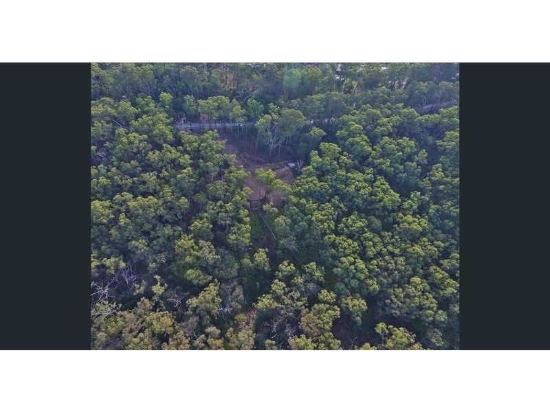 12 Cornelius Crescent, Healesville VIC 3777