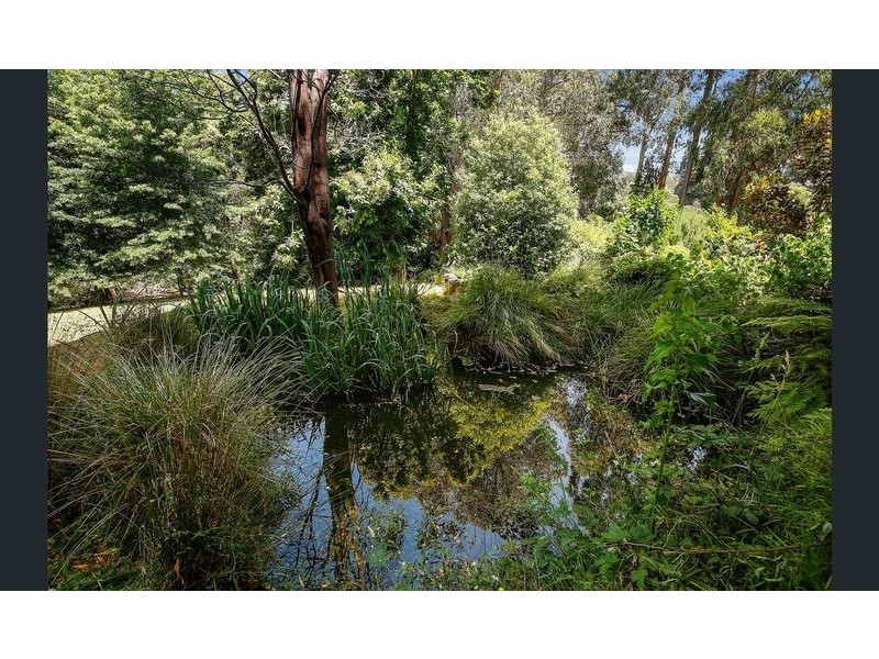 49 Donna Buang Road, Warburton VIC 3799