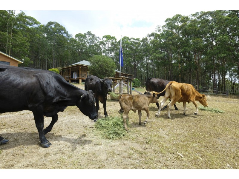 403 Burraneer Road, Coomba Park NSW 2428