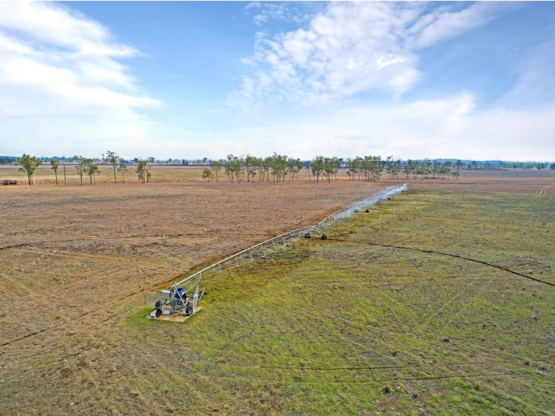 161 Woodford Road, Alton Downs QLD 4702