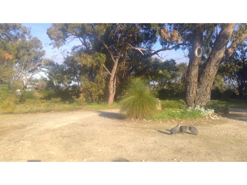 34 Kiln Road, Nowergup WA 6032