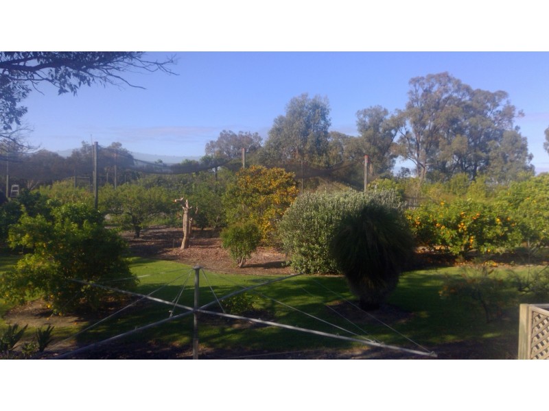 34 Kiln Road, Nowergup WA 6032