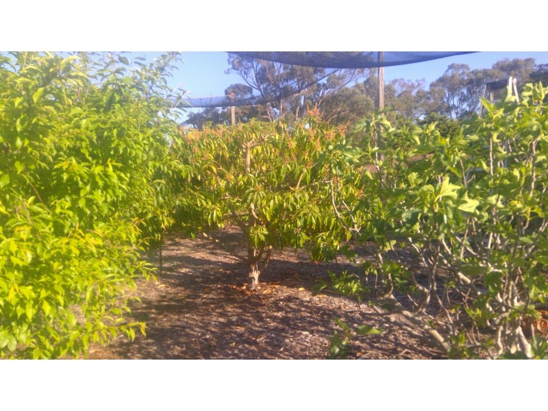 34 Kiln Road, Nowergup WA 6032