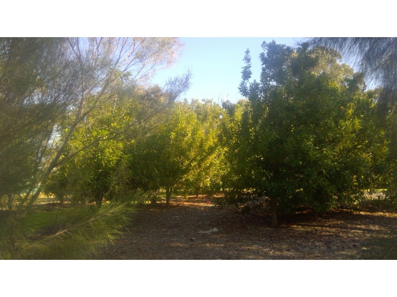 34 Kiln Road, Nowergup WA 6032