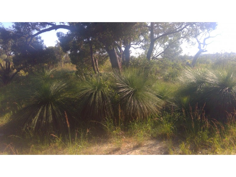 34 Kiln Road, Nowergup WA 6032