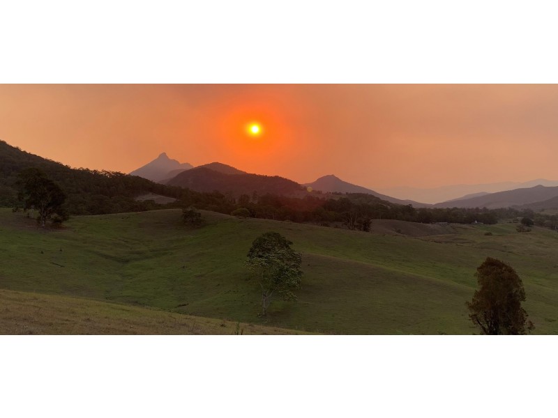 316 Bakers Road, Byangum NSW 2484