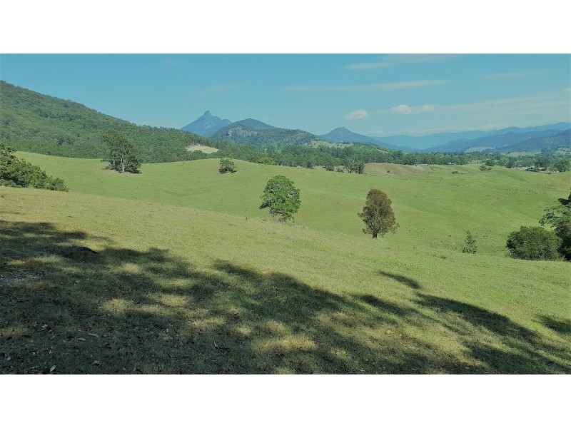 316 Bakers Road, Byangum NSW 2484