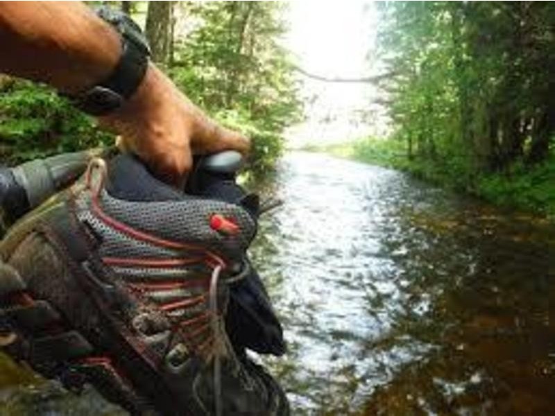 59 Thornton St, Clunes VIC 3370