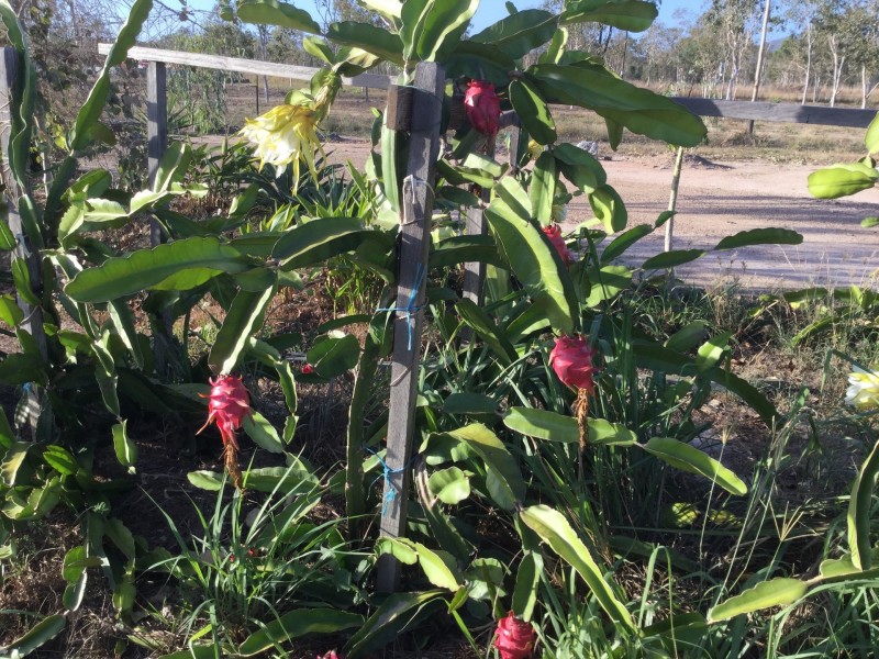 7B Purono Parkway, Yabulu QLD 4818