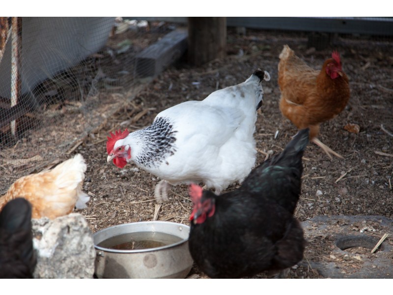 7B Purono Parkway, Yabulu QLD 4818