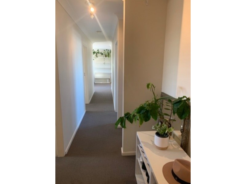 4/56 Goulburn Street, Gordon Park QLD 4031