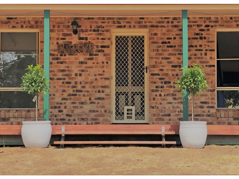 99 Lynches Creek Road, Wiangaree NSW 2474