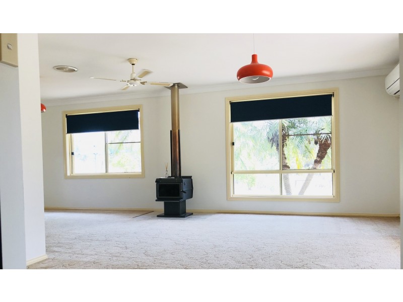 99 Lynches Creek Road, Wiangaree NSW 2474