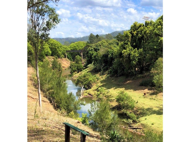 99 Lynches Creek Road, Wiangaree NSW 2474