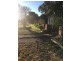 16 Elizabeth st, Forbes NSW 2871