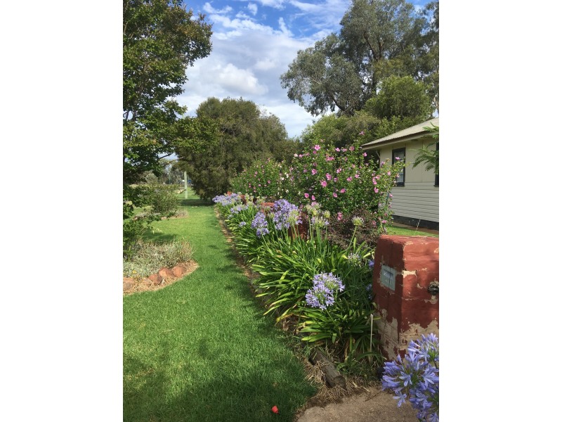16 Elizabeth st, Forbes NSW 2871