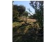 16 Elizabeth st, Forbes NSW 2871