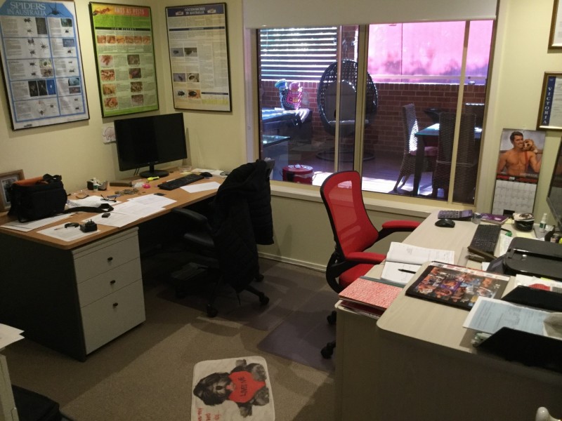 1 Koetong Crescent, West Wodonga VIC 3690