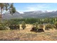 84 Molesworth Road, Malbina TAS 7140