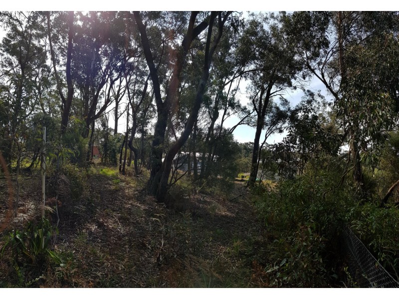 10 Lomandra Place, Katoomba NSW 2780