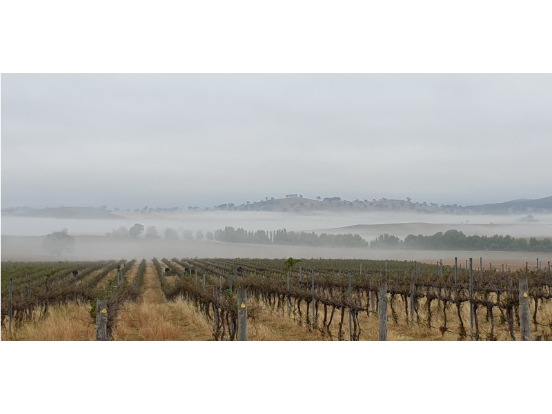 23 McClung Drive, Murrumbateman NSW 2582