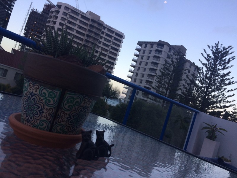 17/199 Surf Parade, Surfers Paradise QLD 4217