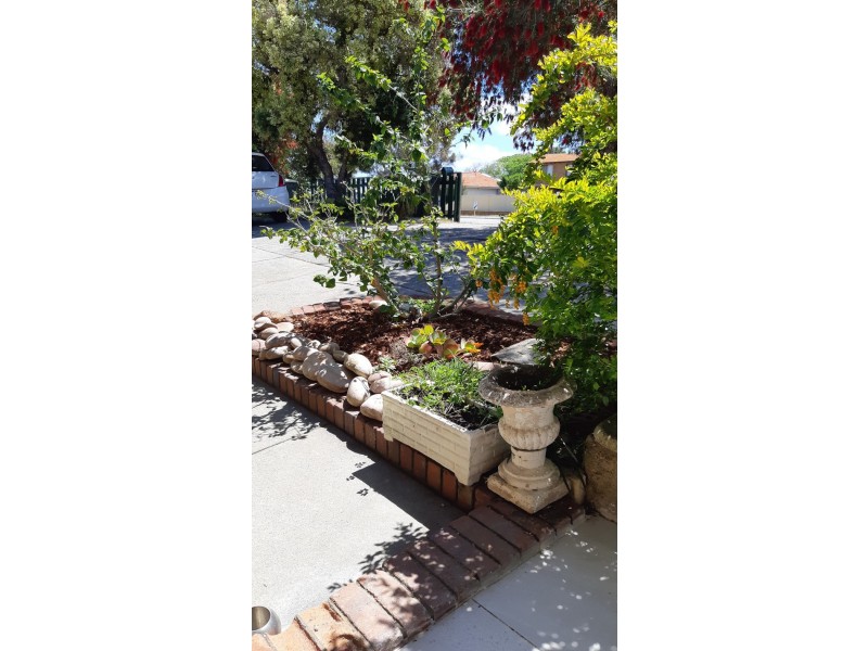 3/167 Marmion st, Fremantle WA 6160