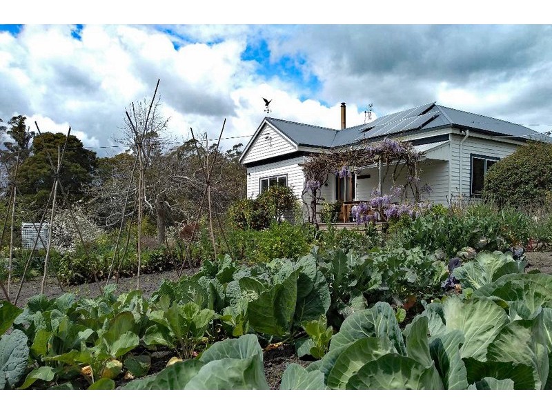 2946 Golconda Road, Blumont TAS 7260