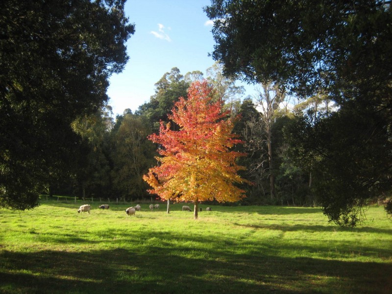 2946 Golconda Road, Blumont TAS 7260