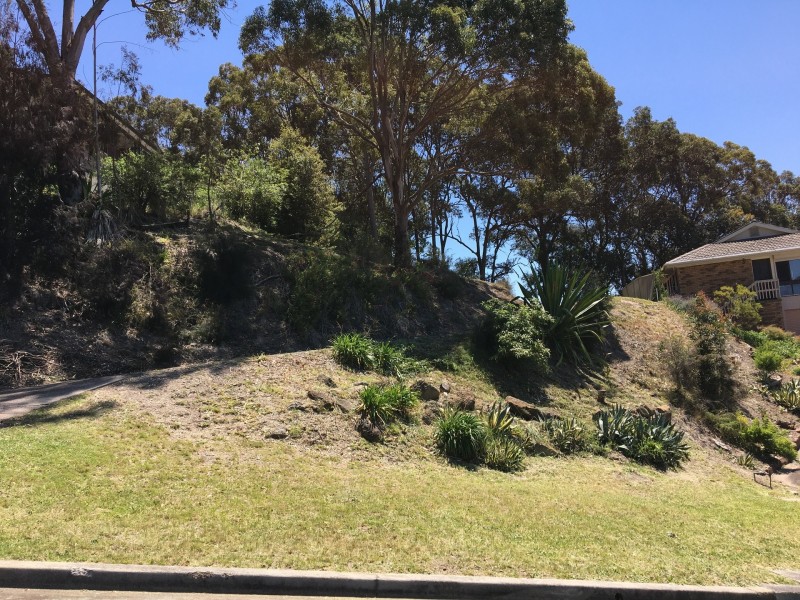 16 Taranaki Place, Macquarie Hills NSW 2285