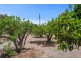 Murrayville VIC 3512